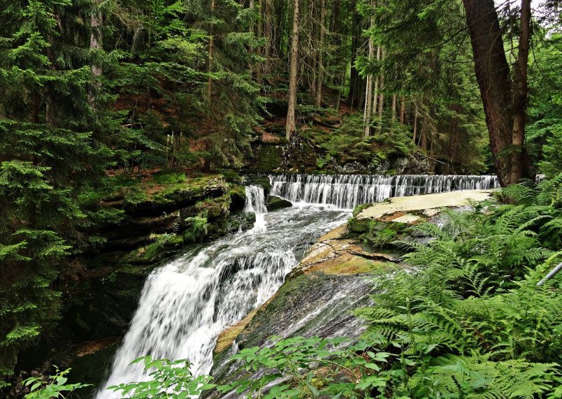 Clark Creek Natural Area, Mississippi, USA